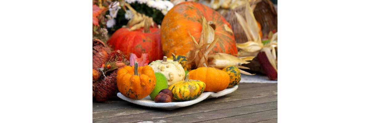 Herbstzeit ist Kürbiszeit: Wissenswertes, Tipps und Rezepte rund um die vielseitige Superfrucht! - Herbstzeit ist Kürbiszeit