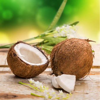 Kokosöl (Cocos Nucifera)