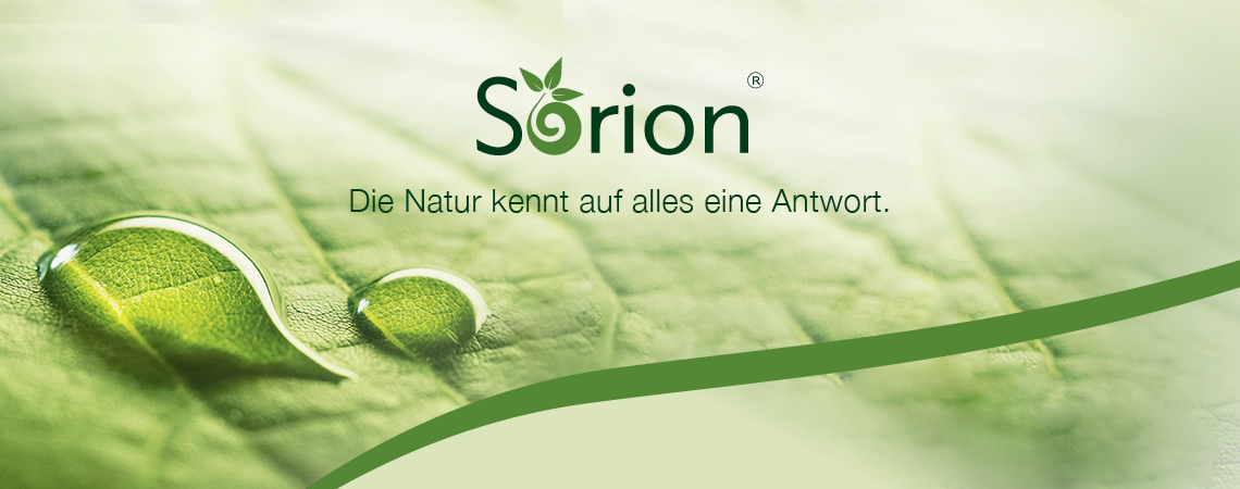 #slide_caption_26 Ayurvedische Produkte, die Natürlichkeit, Tra